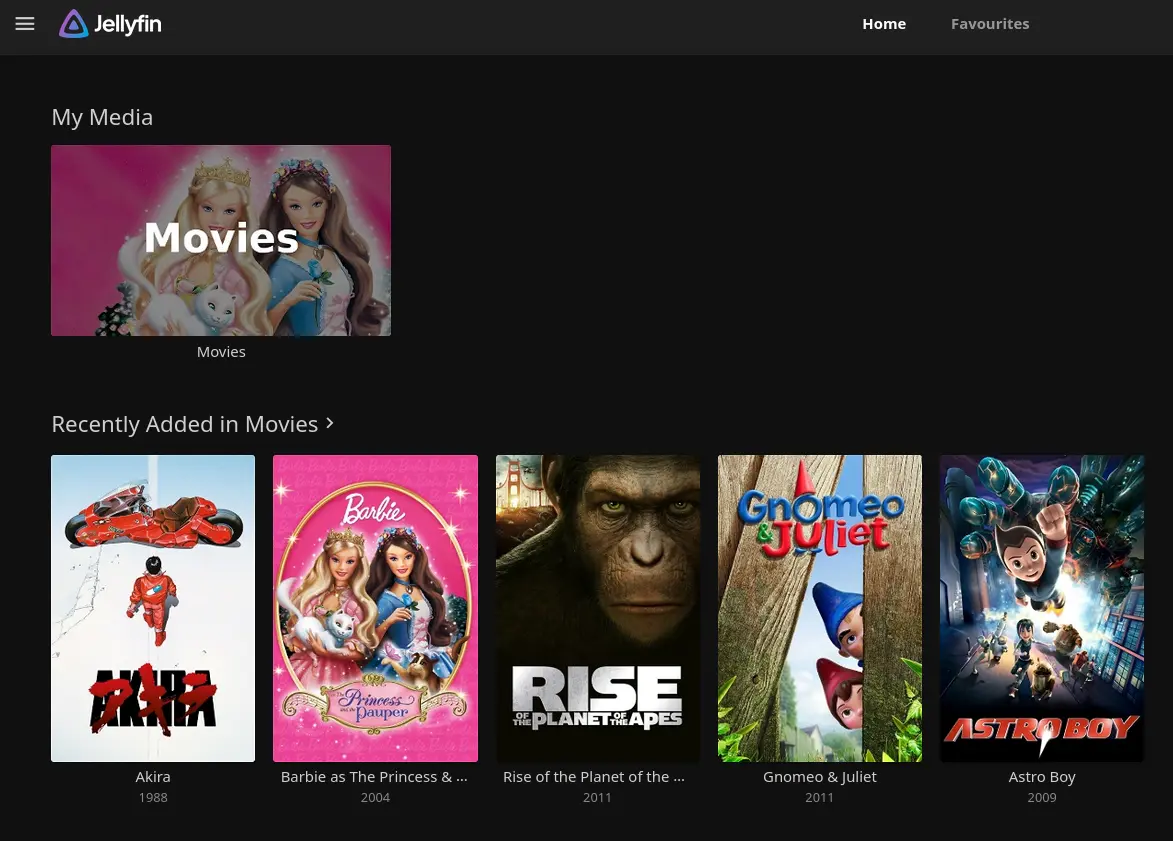 Jellyfin Media Server Image